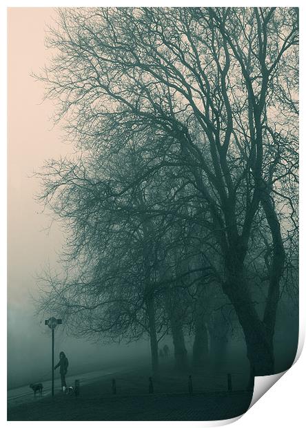 Foggy day Print by Paul Tremble