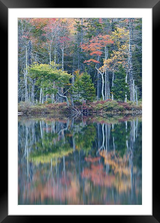 Reflection, Maine Framed Mounted Print by David Roossien