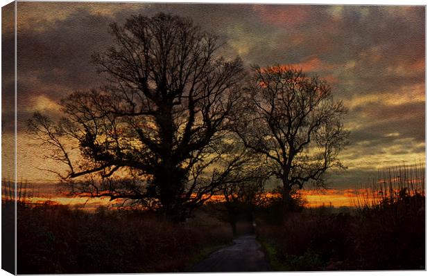 country pathway Canvas Print by Dawn Cox