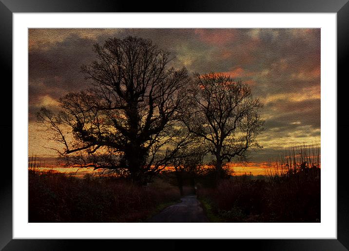 country pathway Framed Mounted Print by Dawn Cox
