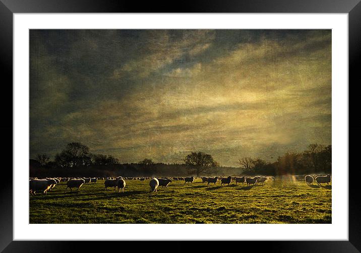 The Grass is Greener Framed Mounted Print by Dawn Cox