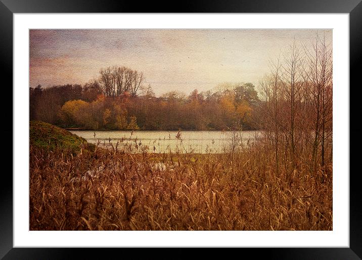 All is Calm across the water Framed Mounted Print by Dawn Cox