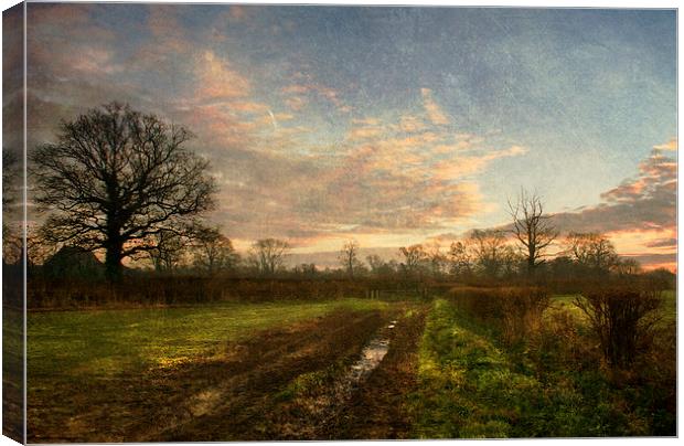 Winter Morning Canvas Print by Dawn Cox