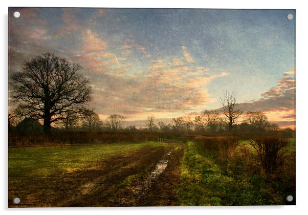 Winter Morning Acrylic by Dawn Cox