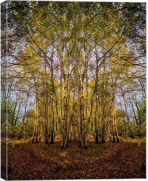 Autum colours from Norfolk Canvas Print by Mark Bunning
