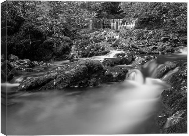 Stockghyll Force Canvas Print by Graham Moore
