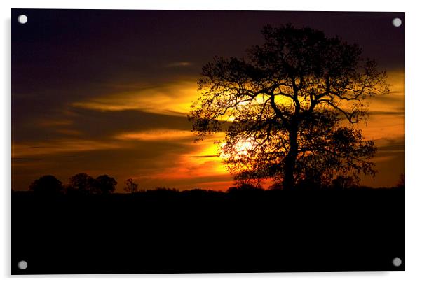 Sunrise Acrylic by Darren Burroughs