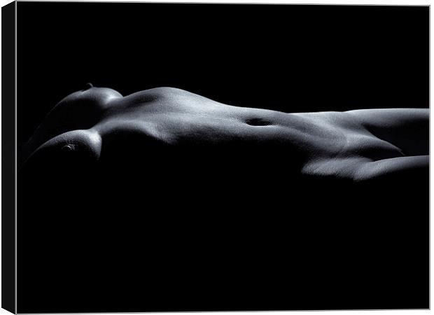 Bodyscape nude torso Canvas Print by Inca Kala