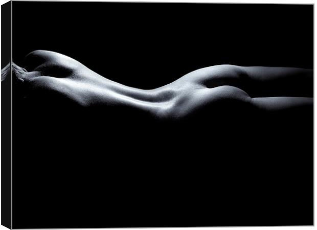 Bodyscape nude back and torso Canvas Print by Inca Kala