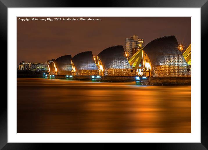 Thames Barrier At Night Framed Mounted Print by Anthony Rigg