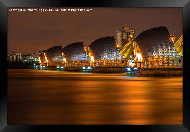 Thames Barrier At Night Framed Print by Anthony Rigg