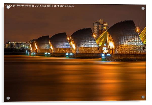 Thames Barrier At Night Acrylic by Anthony Rigg