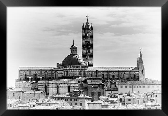 Siena Cathedral - Italy Framed Print by Andy McGarry