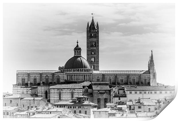 Siena Cathedral - Italy Print by Andy McGarry