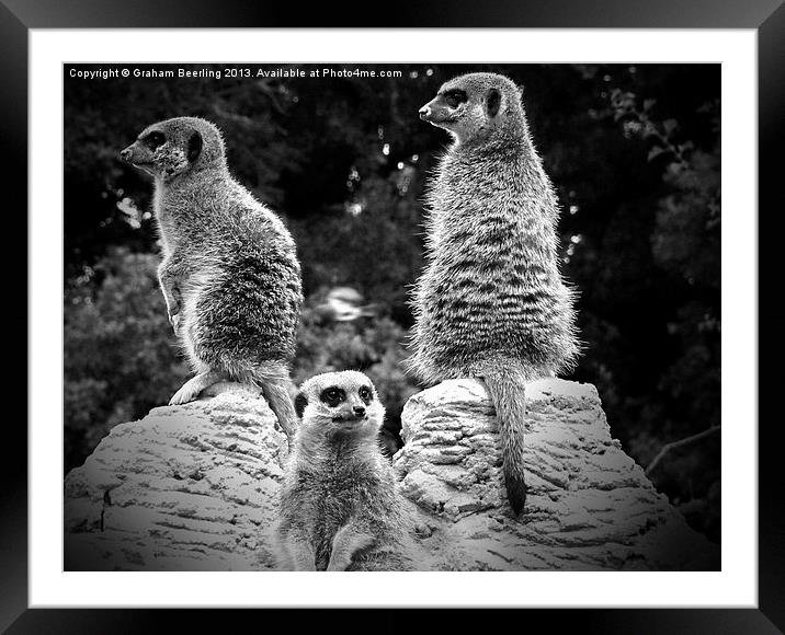 Who Said That Framed Mounted Print by Graham Beerling