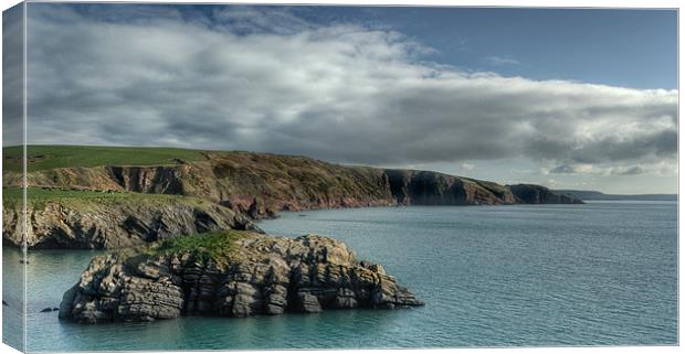 Stackpole Canvas Print by Mark Robson