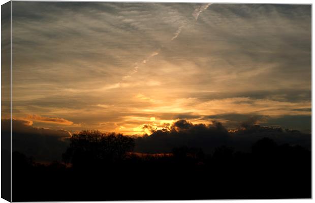 Sunset over Hyde Park Canvas Print by Chris Day