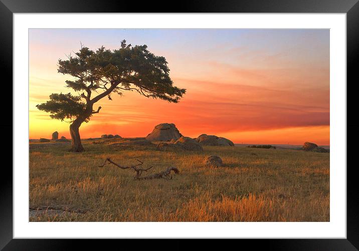 Sunset At Dog Rocks Framed Mounted Print by Matthew Burniston