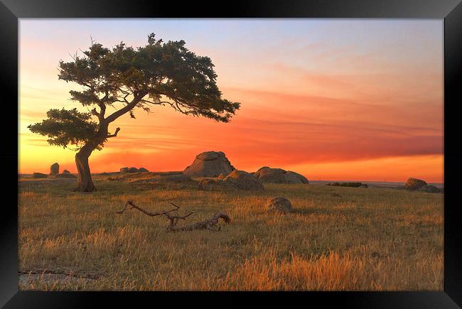 Sunset At Dog Rocks Framed Print by Matthew Burniston