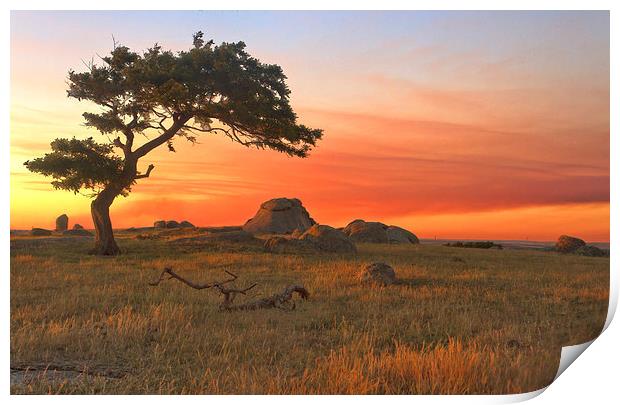 Sunset At Dog Rocks Print by Matthew Burniston