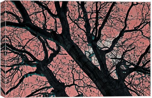 Art of trees Canvas Print by Nadeesha Jayamanne