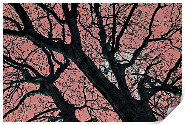 Art of trees Print by Nadeesha Jayamanne