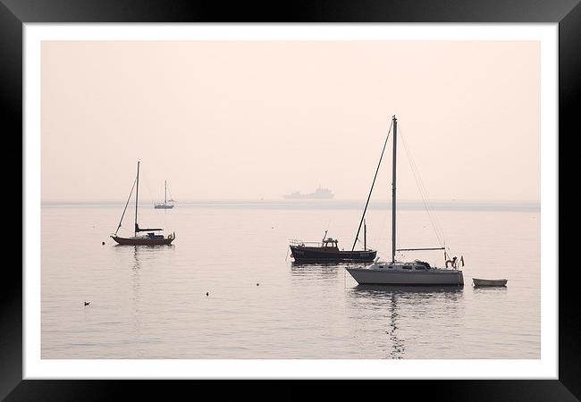 Boats at Kingsand Framed Print by Andrew Roland