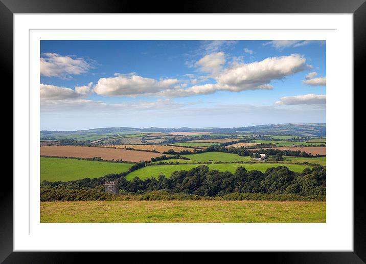 Cornish Landscape Framed Mounted Print by Andrew Roland