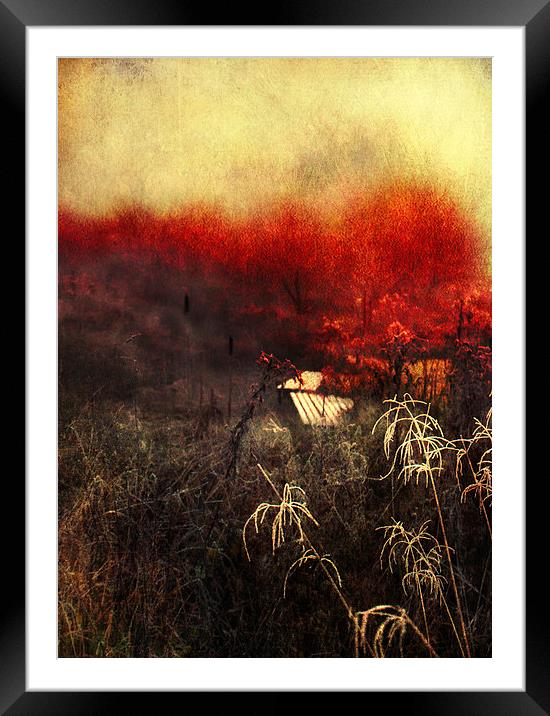 Remaining Embers of Autumn Framed Mounted Print by Dawn Cox