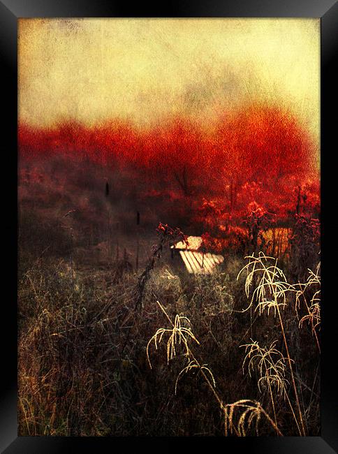 Remaining Embers of Autumn Framed Print by Dawn Cox