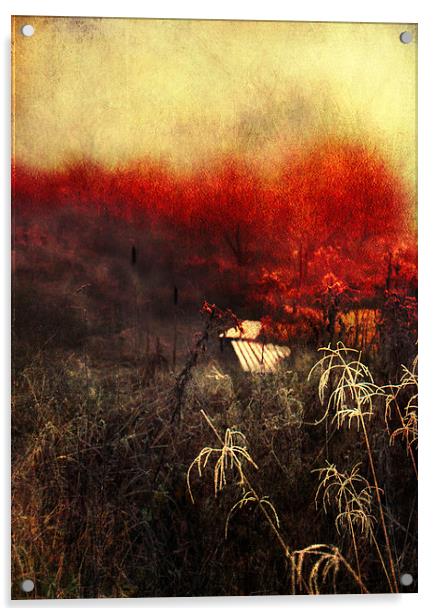 Remaining Embers of Autumn Acrylic by Dawn Cox