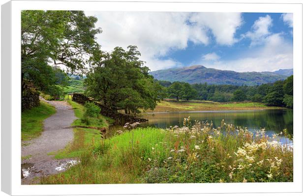 Rydal Water Canvas Print by Andrew Roland