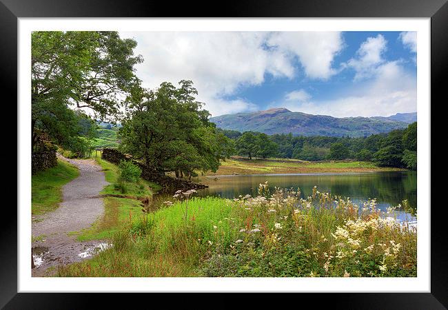 Rydal Water Framed Print by Andrew Roland
