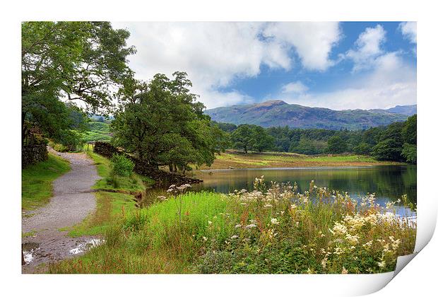 Rydal Water Print by Andrew Roland