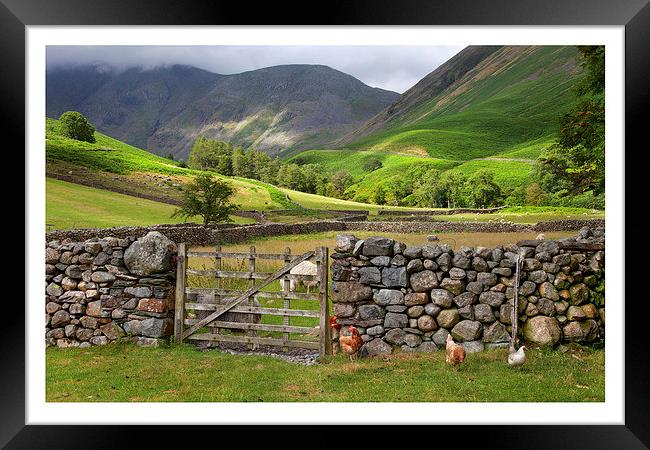Wasdale Head, Cumbria Framed Print by Andrew Roland