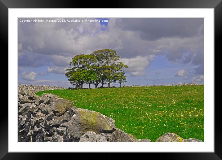 Trees on the Mendips. Framed Mounted Print by John Morgan