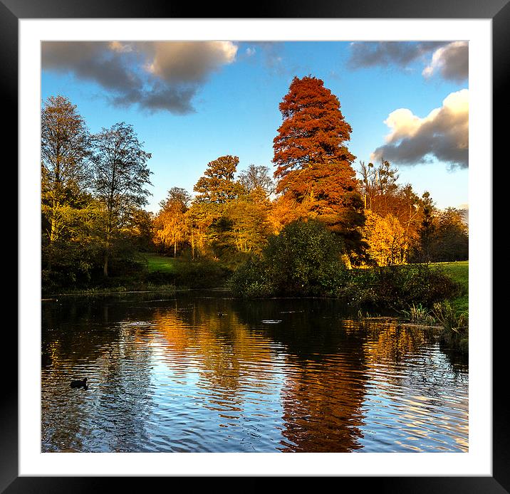 Autumn Reflections Framed Mounted Print by Ian Lewis