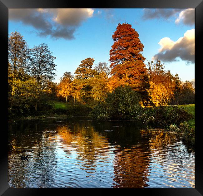 Autumn Reflections Framed Print by Ian Lewis