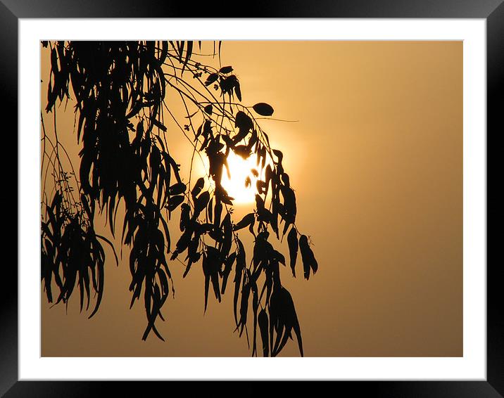 morning colours Framed Mounted Print by anurag gupta