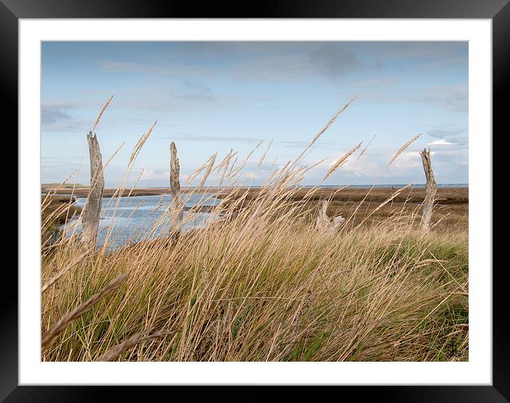 Across the Salt Marsh to the Sea North Norfolk Framed Mounted Print by john hartley