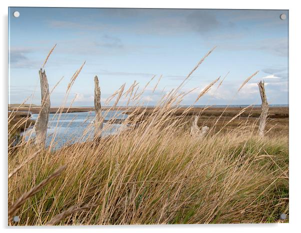 Across the Salt Marsh to the Sea North Norfolk Acrylic by john hartley