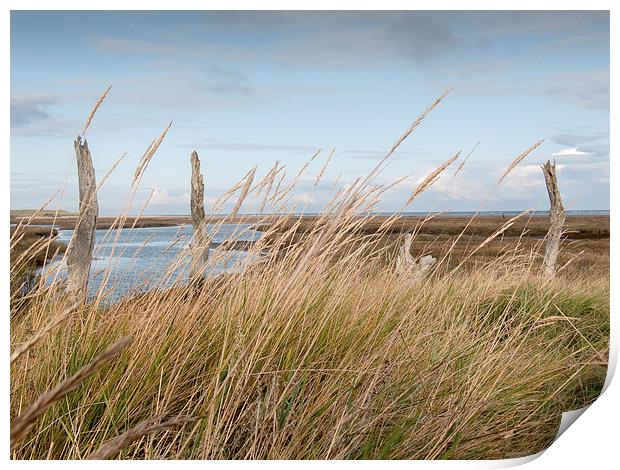 Across the Salt Marsh to the Sea North Norfolk Print by john hartley