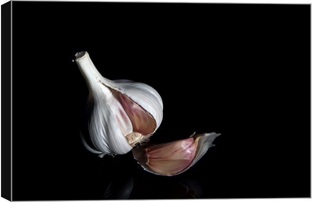 Garlic Bulb Canvas Print by anna collins