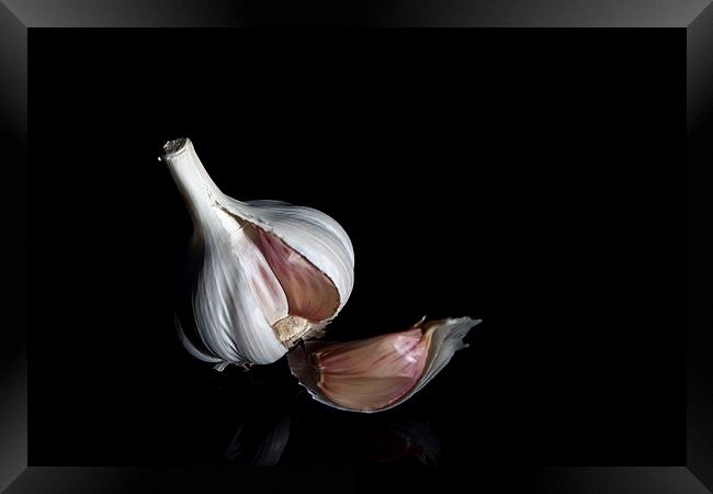 Garlic Bulb Framed Print by anna collins