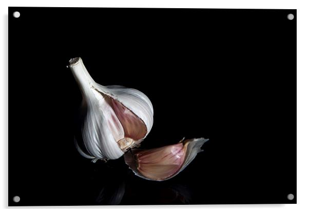 Garlic Bulb Acrylic by anna collins