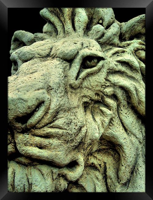 stone lion Framed Print by Heather Newton