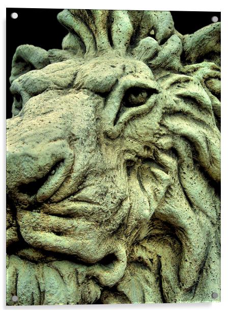 stone lion Acrylic by Heather Newton