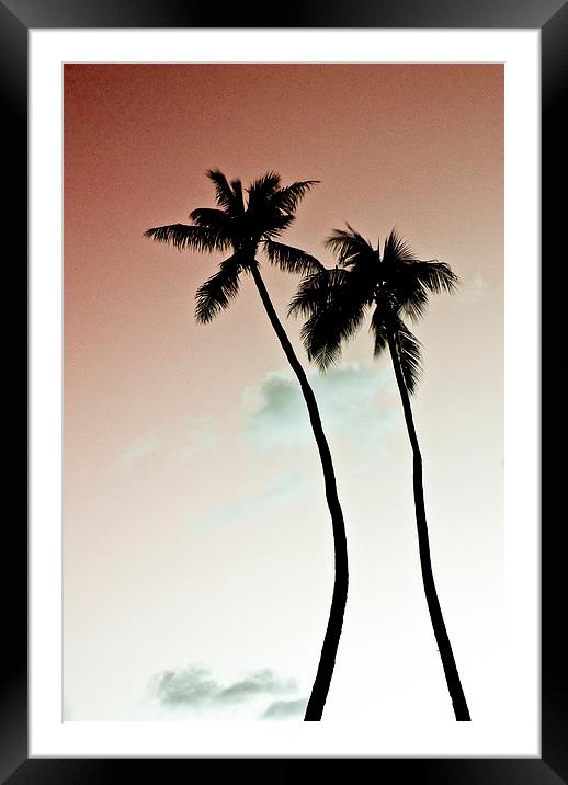 Palm Trees Framed Mounted Print by Paul Walker