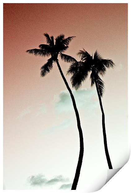 Palm Trees Print by Paul Walker