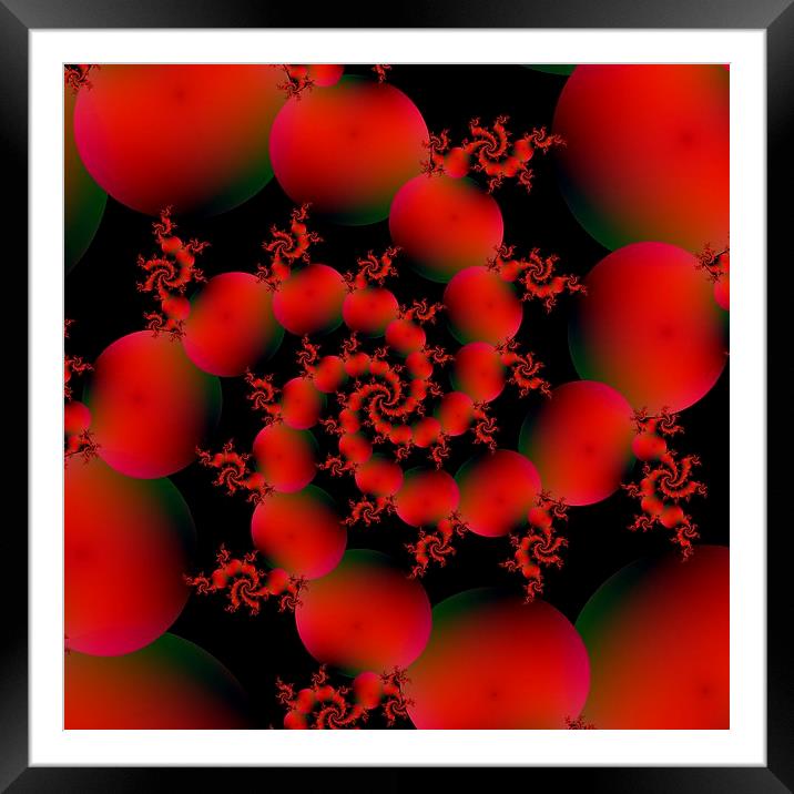 Tomato Spiral Framed Mounted Print by Colin Forrest